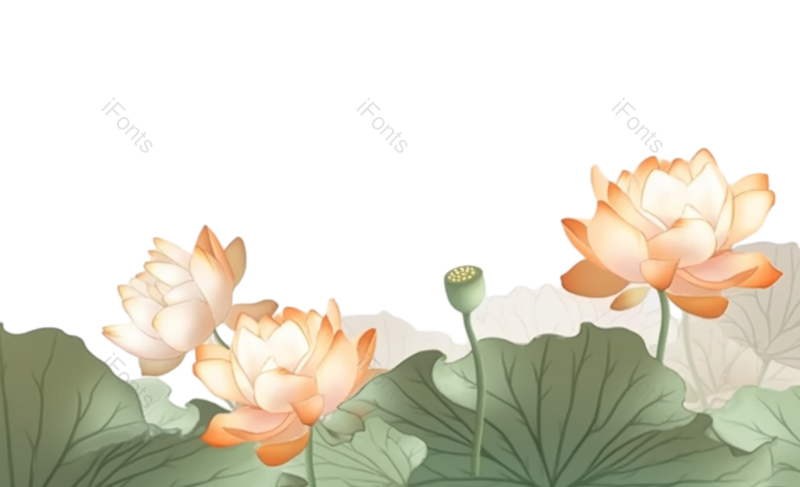 叶子图片,元素元素,清新PNG,荷花免抠素材